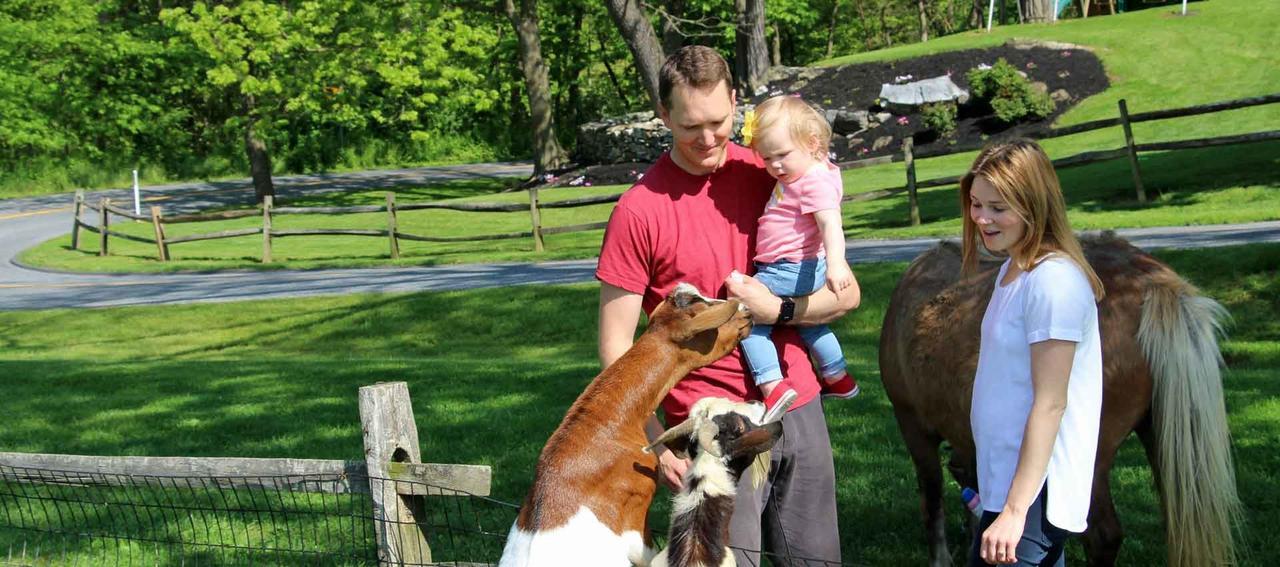 Rocky Acre Farm Bed & Breakfast Mount Joy Exterior foto