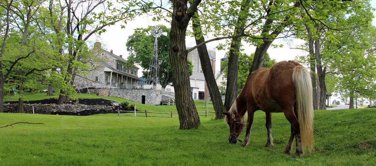 Rocky Acre Farm Bed & Breakfast Mount Joy Exterior foto